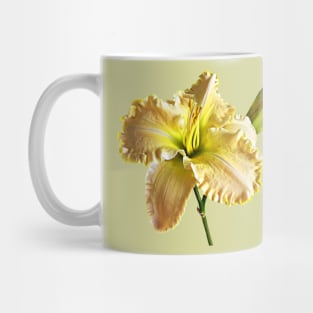 Yellow Day Lily Mug